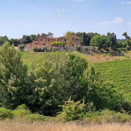 Podere Sole Trequanda Extérieur photo