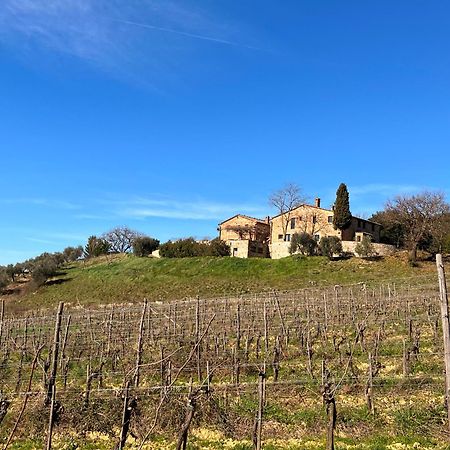 Podere Sole Trequanda Extérieur photo