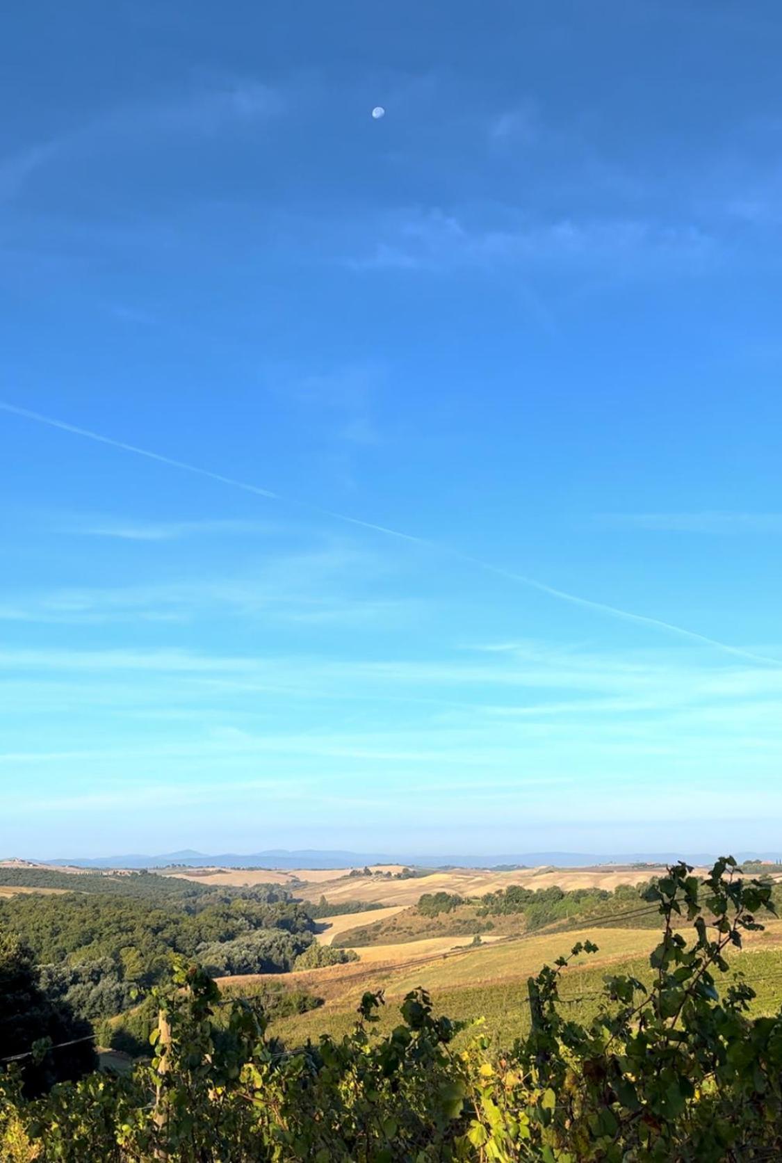 Podere Sole Trequanda Extérieur photo