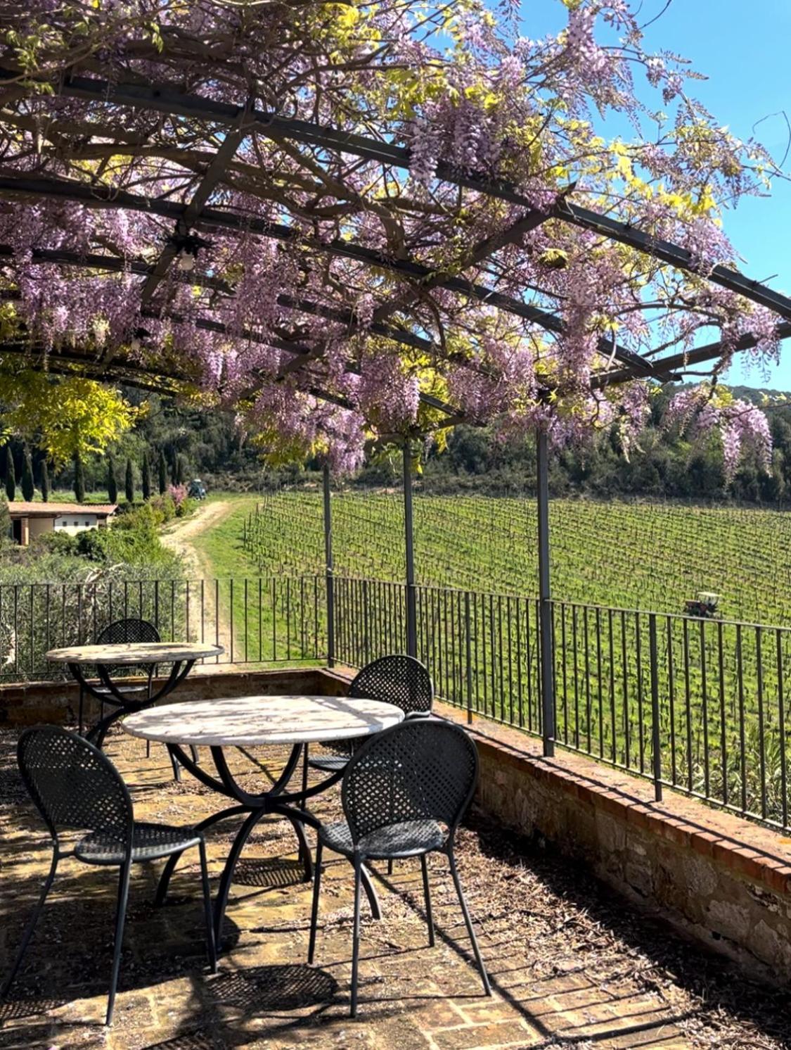Podere Sole Trequanda Extérieur photo