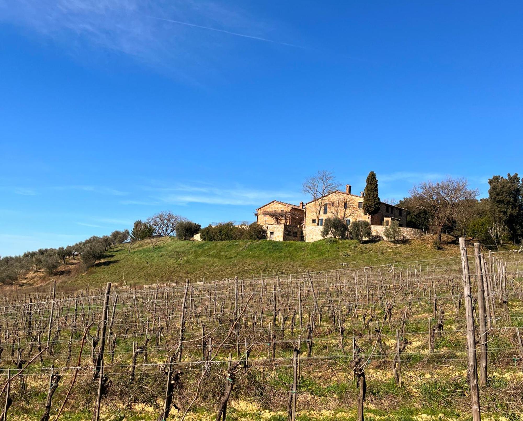 Podere Sole Trequanda Extérieur photo